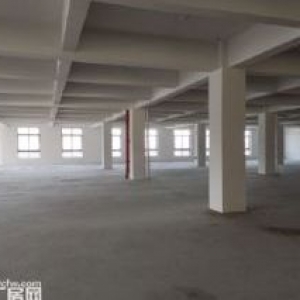 出租滨海一楼1000平楼上2300平可分租电大已腾空适合鞋子