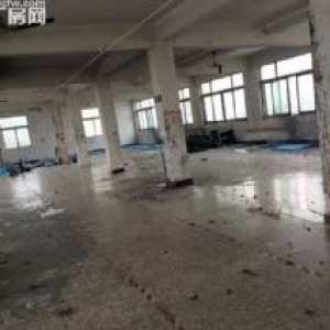 租滨海工业区单层3500平电梯3T院子超大整层出租价格便宜