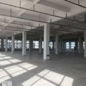 滨海园区1楼1500平米有大院停车方便