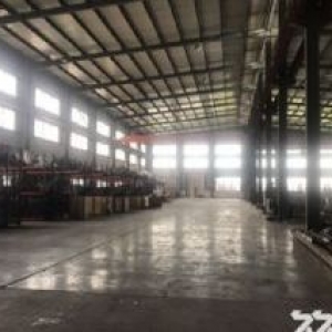 滨海工业区1楼1300彩钢13米高适合各行各业