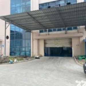 龙湾滨海欧江口新区厂房出租