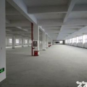 出租滨海独门独院3000平方马上可以用适合各种行业