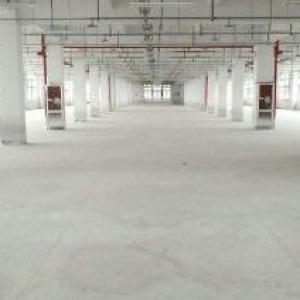 滨海园区9000平方独门独院厂房出租