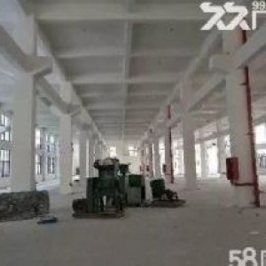 30000平方滨海开发区独门独院厂房出租，可分租