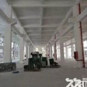 滨海厂房出租2100平方一二楼，一楼高度7米可做标准件