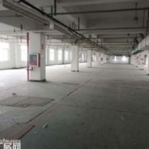 厂房出租龙湾金海1楼900平方，高5米，有行车，有货梯，电大