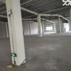 滨海厂房出租龙湾滨海十五路800平米适合五金，机械，模具，阀