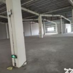 出租龙湾滨海厂房2楼1900平高4米，适合服装，鞋，印刷，小