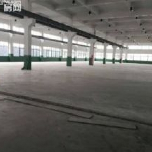 厂房出租龙湾滨海楼上1700平方，货梯2吨，有行车，电大，适