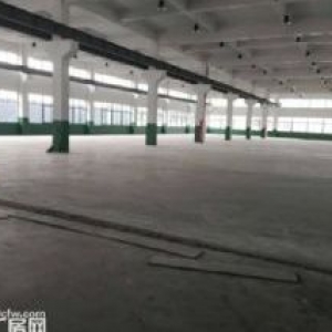 厂房出租龙湾滨海楼上1000平，有行车，货梯，电大，适合阀门