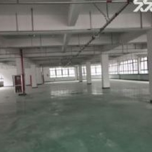 厂房出租4楼1000平米，  