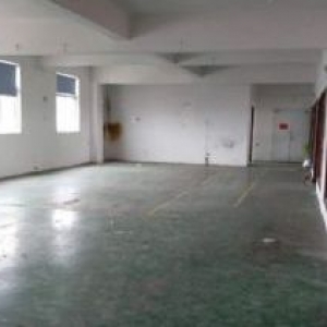 厂房出租龙湾滨海十五，一楼310平米，电大，有货梯，适合多行