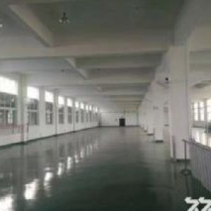 滨海2楼1800适合注塑机，车床数控等行业