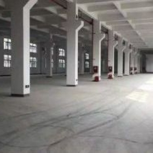 滨海独门独院4400平方出租适合各种行业1楼高8米