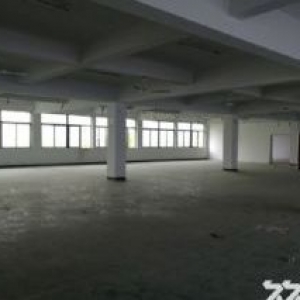 上汇工业区标准厂房楼上1300平方出租