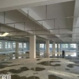 鹿城沿江工业区1楼1500平方米厂房出租