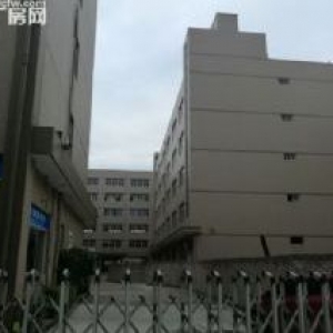 藤桥工业区3楼1700平方出租