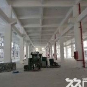 鹿城轻工园区标准厂房1楼300平，2楼2000平出租