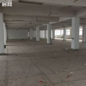 鹿城沿江工业区5楼800平方出租