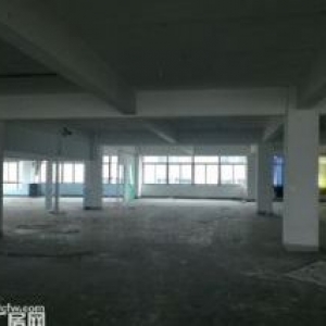 藤桥工业区5楼1000平方米出租