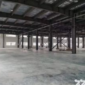 滨海全新彩钢厂房招租