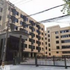 滨海全新独栋厂房招租