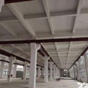 滨海明珠路金海工业园全新厂房招租