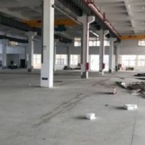 龙湾滨海园区一楼厂房600平米出租高度7米，适合各种行业。