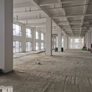 阁巷全新厂房 5900平方 可分租 包税180元
