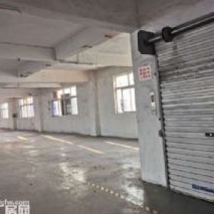 塘下厂房出租 独门独院2500−6000平 可分租