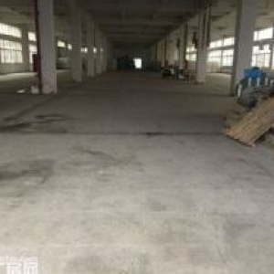 出租新桥高翔工业区，独栋厂房15000平方，可分租