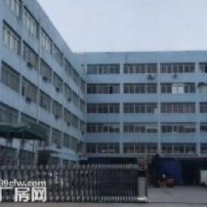 仙岩工业区厂房出租一个层面2500