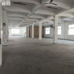 上汇1300平方，适合做眼镜，目前已经腾空。