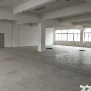 炬光园标准厂房650平方，适合轻工