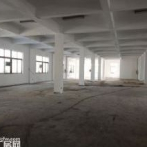 炬光园工业区1000平方，可用