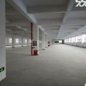 滨海明珠路1楼650平方适合各种无污染行业