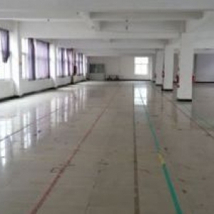 服装发展大厦1100平方，适合仓库，已腾空