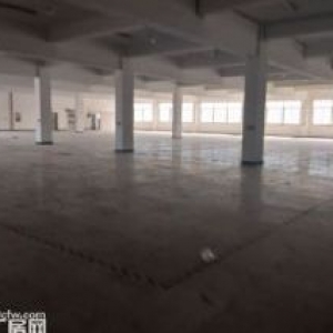 上汇标准厂房1000平方，适合轻工