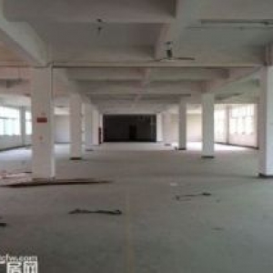 泽雅标准厂房1500平方一个层面出租适合各行各业