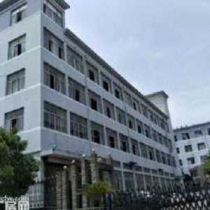 藤桥 标准厂房1800平方，1000平方，800平方出租