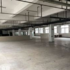 温州大道钱江路马路旁1000平框架厂房出租，适合各行业