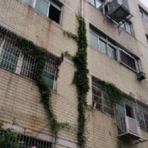 炬光园4000平方，适合轻工行业 ，无污染，