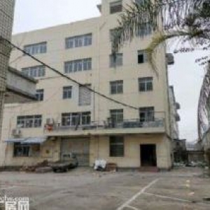 文昌路8400方 两栋 一楼店面&#