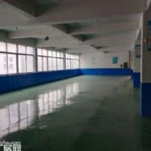 出售滨海工业区占地110亩建筑90000平大集团形象