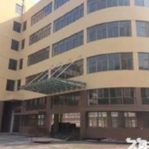 龙湾滨海工业区厂房，30600平方，占地25亩