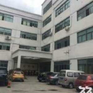 瓯海大路上4亩建3500㎡，独门院子大，带门店，马上可用。