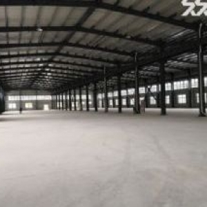 万全104国道上40亩建20000㎡，层高9米手续齐，宜机械