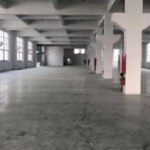 飞云宋家埭30亩建42000㎡，大路上，车间长，层高6.5&