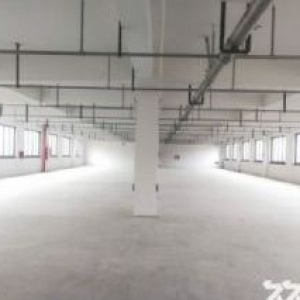 龙湾滨海全新小微园 3350平1楼高9米 承重500公斤 股