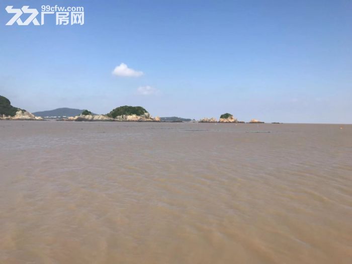 飞云工业区厂房2400平米出租适合五金机械汽摩配等-图4